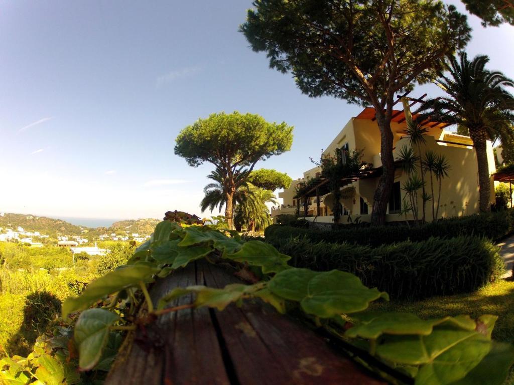 Park Hotel Terme Michelangelo ラッコ・アメーノ エクステリア 写真